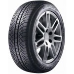 Sunny WINTERMAX NW214 225/50R17 98V XL