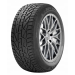 Riken RIKEN SNOW BSW M+S 3PMSF 195/65R15