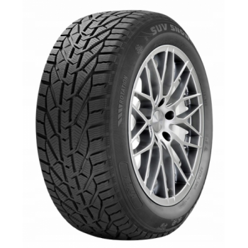 Riken RIKEN SNOW BSW M+S 3PMSF 195/65R15