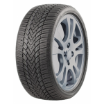 Roadmarch WINTERXPRO 888 175/70R13